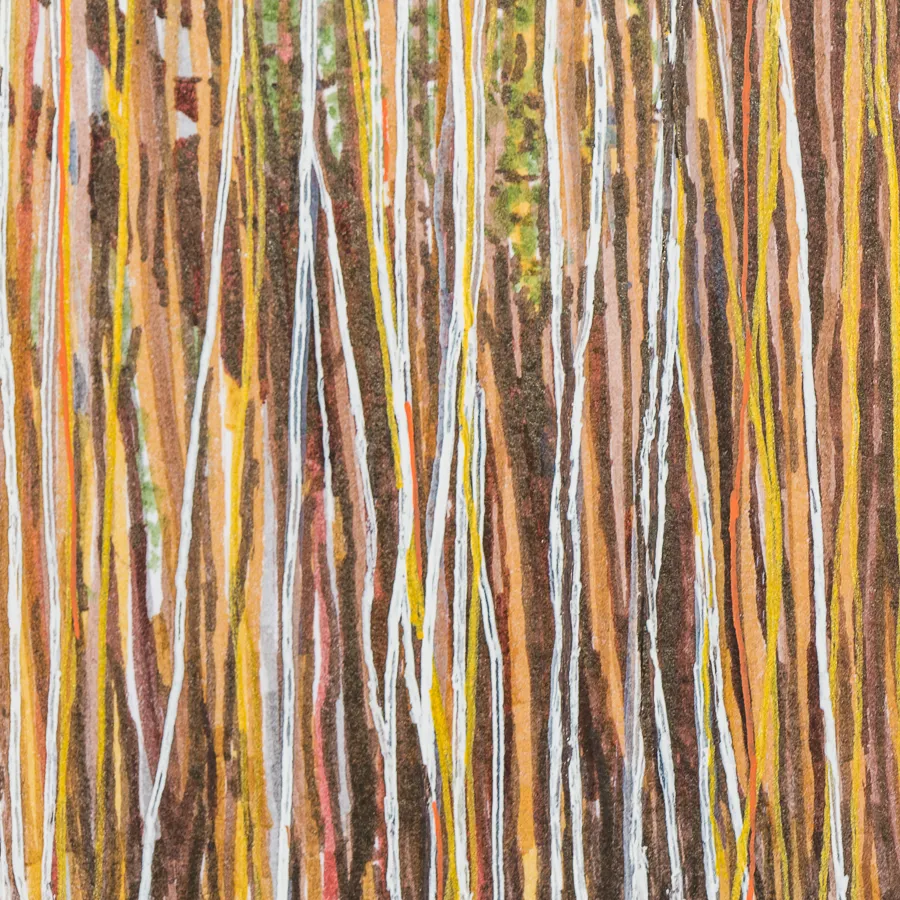 Lianas – Image 3