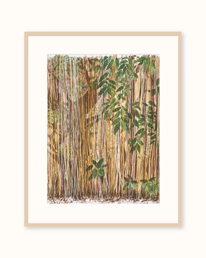 Lianas