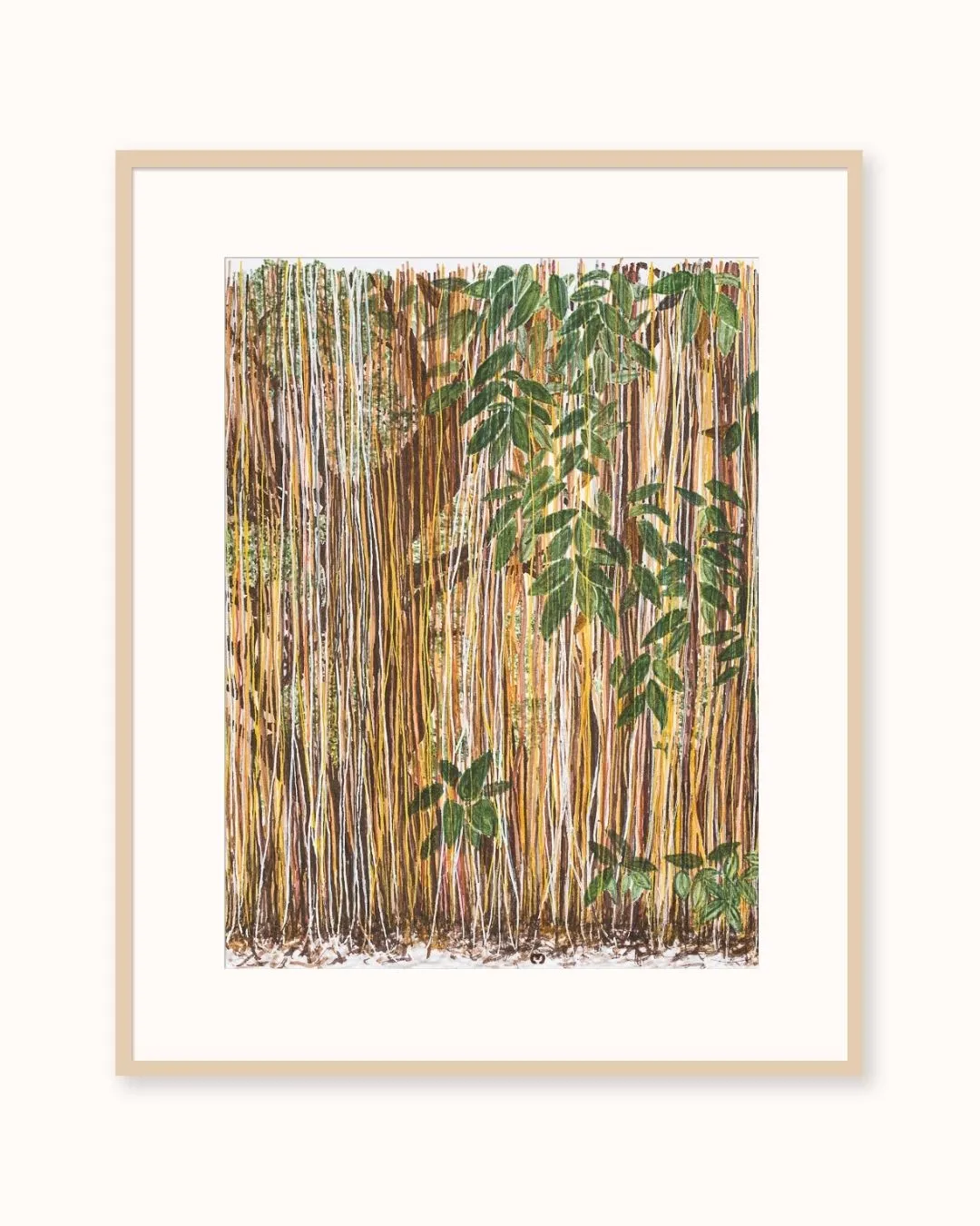 Lianas